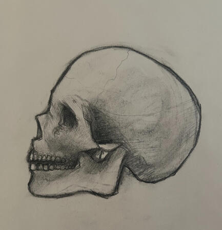 Charcoal Skull