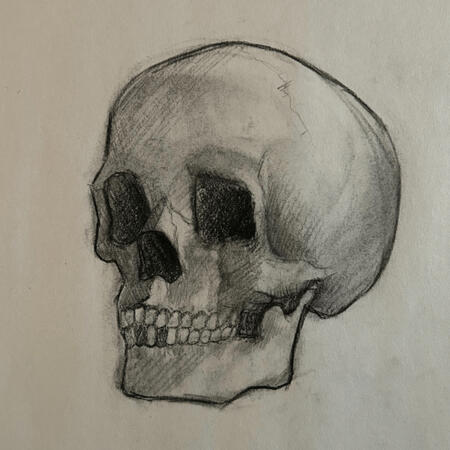 Charcoal Skull