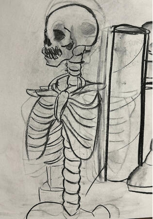 Charcoal Still Life Skeleton